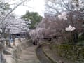 ２０１３年３月広島旅行