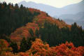 [25]紅葉の西山と白山山系　2017.10.29