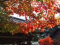 旧友と海住山寺・浄瑠璃寺・岩船寺へ