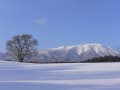 岩手山あっちこち