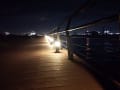 [48]東扇島東公園 夜４