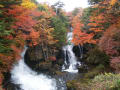 紅葉の竜頭の滝