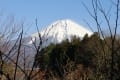 新春・白雲去来、富士山の思いでスペシャル