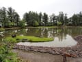 毛越寺庭園と隣の観自在王院庭園