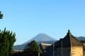 朝の散歩（富士山、駿河湾、花、遊歩道）