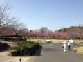 古河総合公園