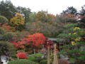 ２０１１．１１．６～７　山梨　山中湖旅行　鐘山苑