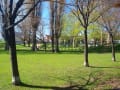  札幌チェリーブロッサム-2011-  from農試公園