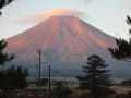 富士山　きのこ