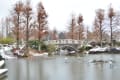 草津市立水生植物公園みずの森・1月14日