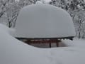 大雪に埋まる大山寺