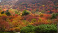 那須・姥ヶ平の紅葉絶景