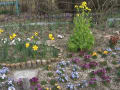 春・武庫公園の花壇