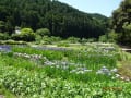 加茂荘花鳥園