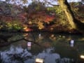 御船山楽園紅葉まつり～  ライトアップ編   佐賀県武雄市