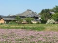 明日香村の飛鳥寺｛飛鳥大仏｝~元興寺