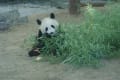 動物（水族館・動物園）