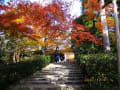 京都 龍安寺