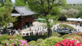 根津神社の景観