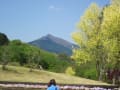 茨城県・フラワーパークの草花の紹介です