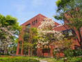 久留米石橋文化センターの新緑と花の季節