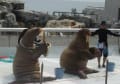 楽しかった水族館。