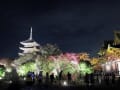 2019　秋　東寺