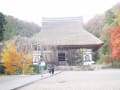 京都安国寺・燃える秋