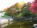 [68]宮城県美術館の紅葉