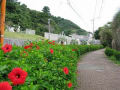 長崎・高島にて10/11