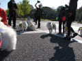 小雪ファミリー全員集合　in　昭和記念公園