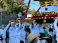 田原若宮八幡社例大祭（2024.11.3）