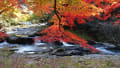 雲南市八重滝の紅葉