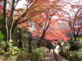 龍田大社、長谷寺