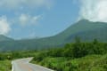 ＊立山の高山植物たち～(^^♪