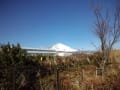 2014/01/19 伊豆観光　願成就院・柿田川・富士山