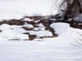 きじひき高原・鉄山湿原「かた雪散策」