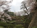 久留米城跡　篠山神社