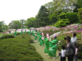 大府市　大倉公園つつじまつり