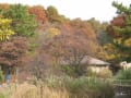 2016　初冬　長居植物園