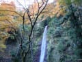 岐阜県　養老の滝　紅葉