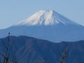 蕎麦粒・仙元峠　紅葉