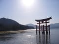 [59]miyajima1.jpg