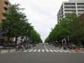 日本大通り　歩く人たち