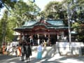 国指定天然記念物　樹齢2千年超　熱海来宮神社の大楠　平成29年12月10日現在