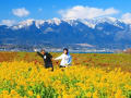 早春の琵琶湖　早咲き菜の花