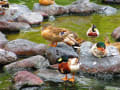 掛川花鳥園