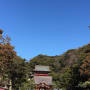 鎌倉・鶴岡八幡宮へ初詣とお散歩