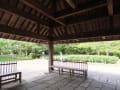 [32]63牡丹・芍薬園