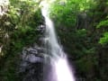 奥多摩・百尋ノ滝を経て川苔山へ（川乗橋→百尋ノ滝→山頂→鳩ノ巣駅：１）